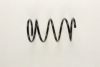 BILSTEIN 36-215096 Coil Spring